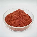 Tambahan ferritin terbaik