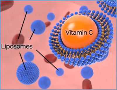 liposomes