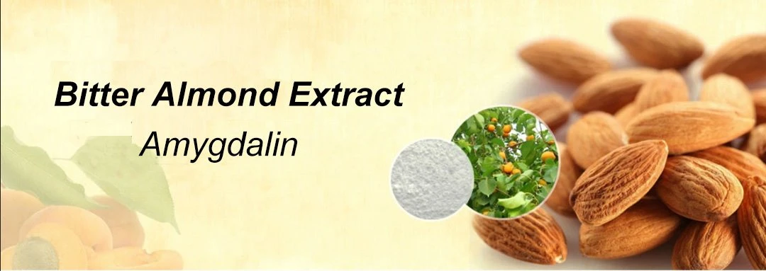 Amygdalin extract 4