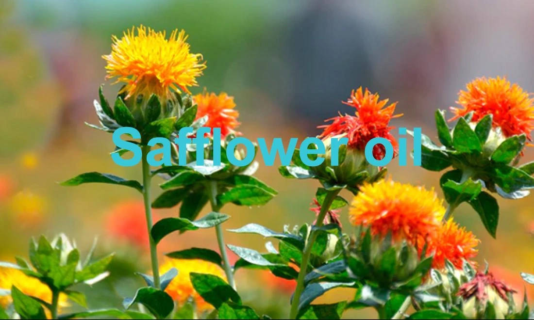 Safflower oil 2