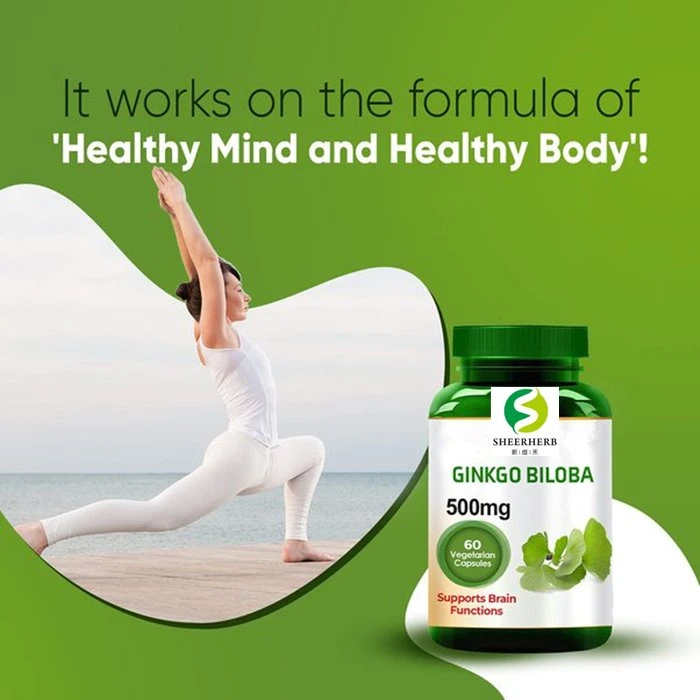 private label your brand bulk ginkgo biloba capsule (3)