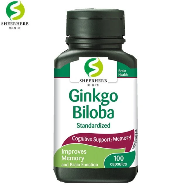 private label your brand bulk ginkgo biloba capsule (1)