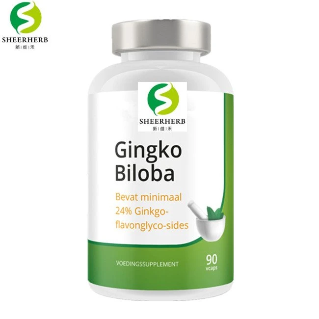 private label your brand bulk ginkgo biloba capsule (2)