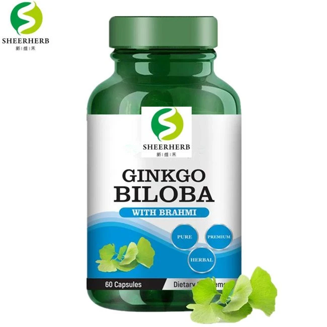 private label your brand bulk ginkgo biloba capsule (3)