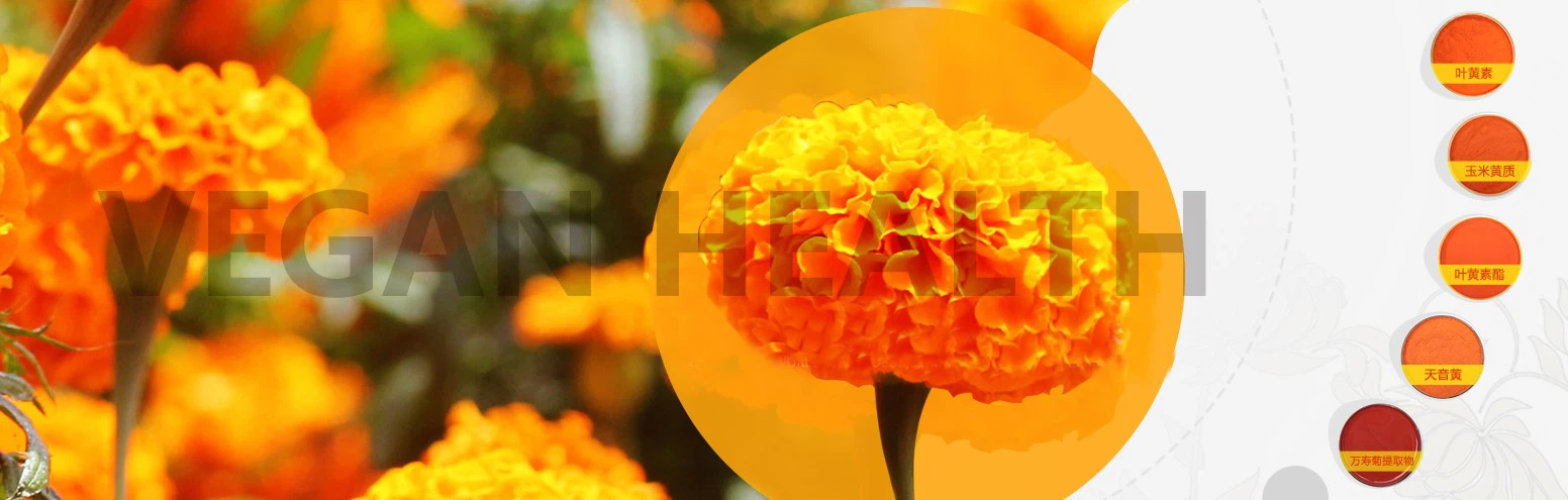 water soluble Lutein Microcapsules 