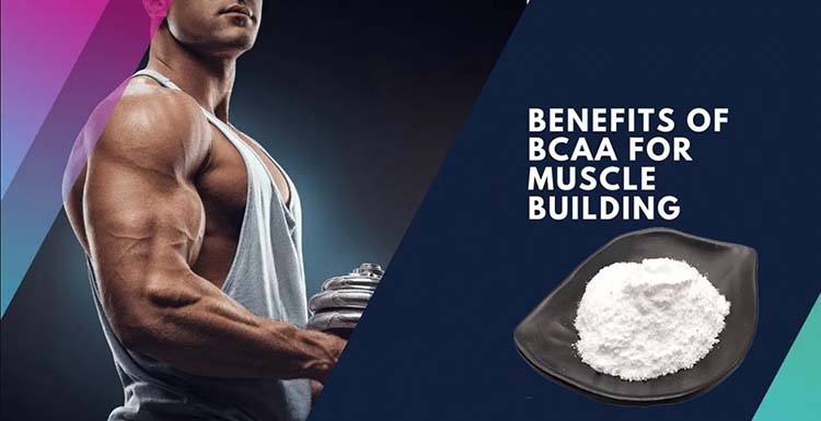 BCAA-3