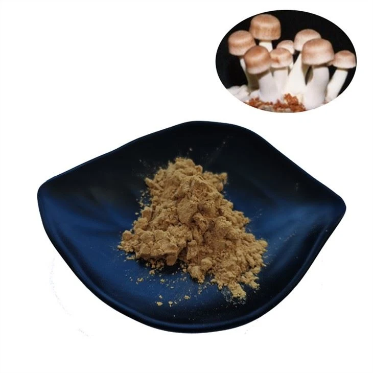 Ekstrak Agaricus Blazei