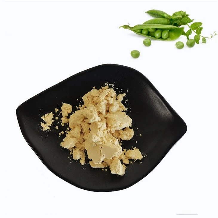 Protein kacang