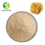 Serbuk Ekstrak Boswellia Serrata