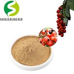 Nutricosts guarana serbuk