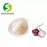 Onion Extract