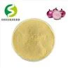 Onion Extract