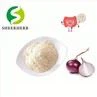 Onion Extract
