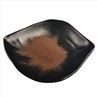 Phellinus Linteus Extract