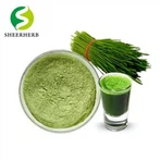 Serbuk Rumput Gandum