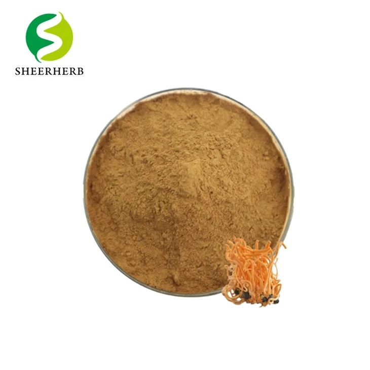 Serbuk Cordycepin