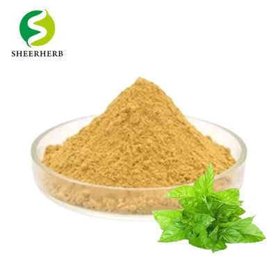 Holy Basil Leaf Extract