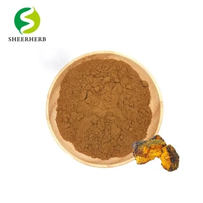 Serbuk Cendawan Chaga