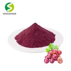Serbuk Anthocyanin Berkualiti Tinggi