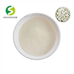 Ekstrak Kacang Pinggang Putih Tulen