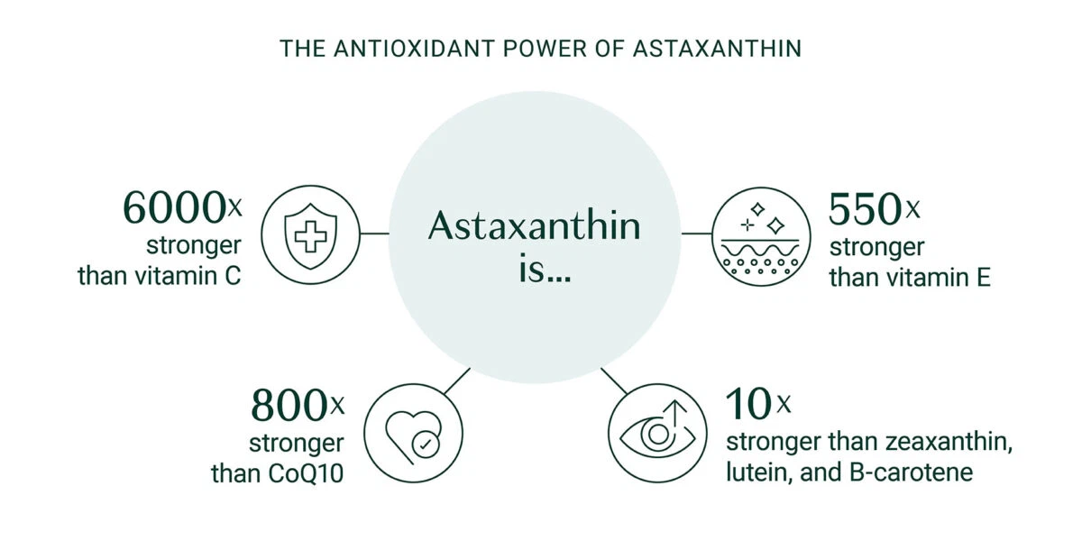 AstaxanthinBlogInText02-1200x600 AstaxanthinBlogInText02-1200x600